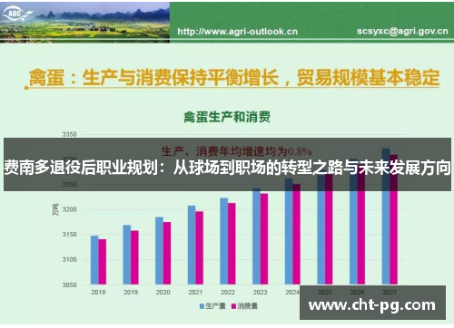 费南多退役后职业规划:从球场到职场的转型之路与未来发展方向